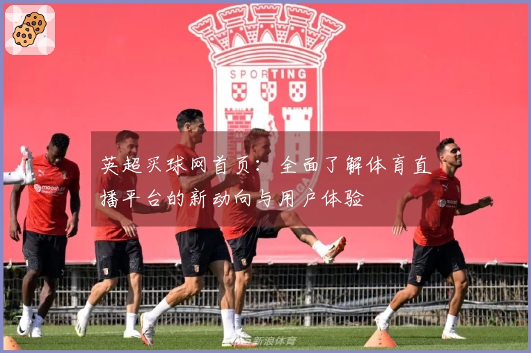 英超买球网首页:全面了解体育直播平台的新动向与用户体验